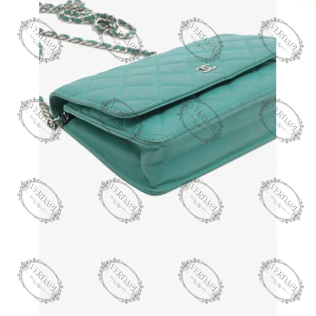 Sac de luxe pour femme / F300019