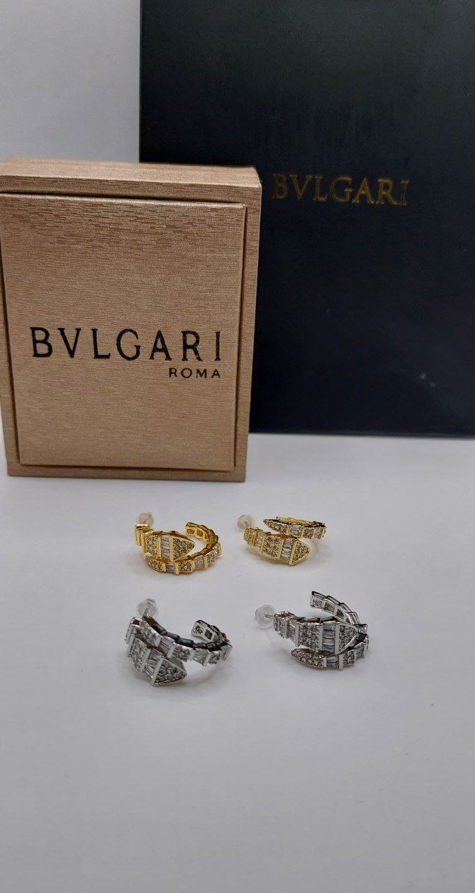 Boucles d'oreilles De Luxe Pour Femme / F30092