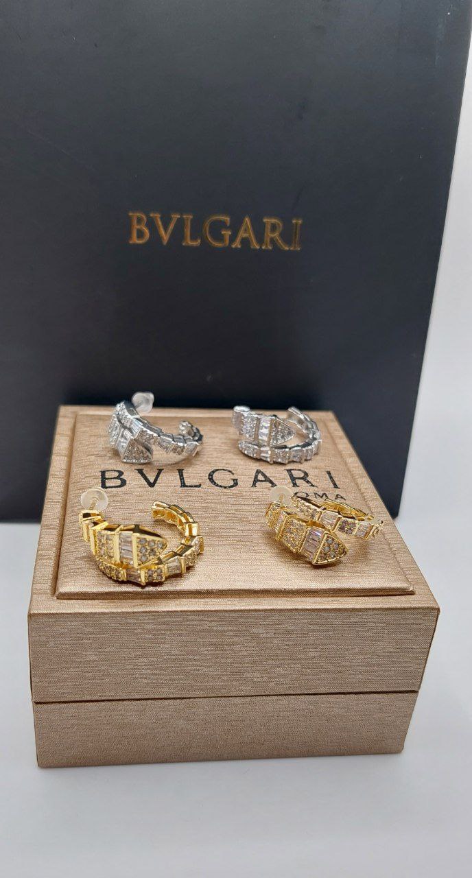 Boucles d'oreilles De Luxe Pour Femme / F30092