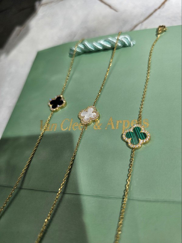 Gourmette de Luxe Pour Femme / F300121