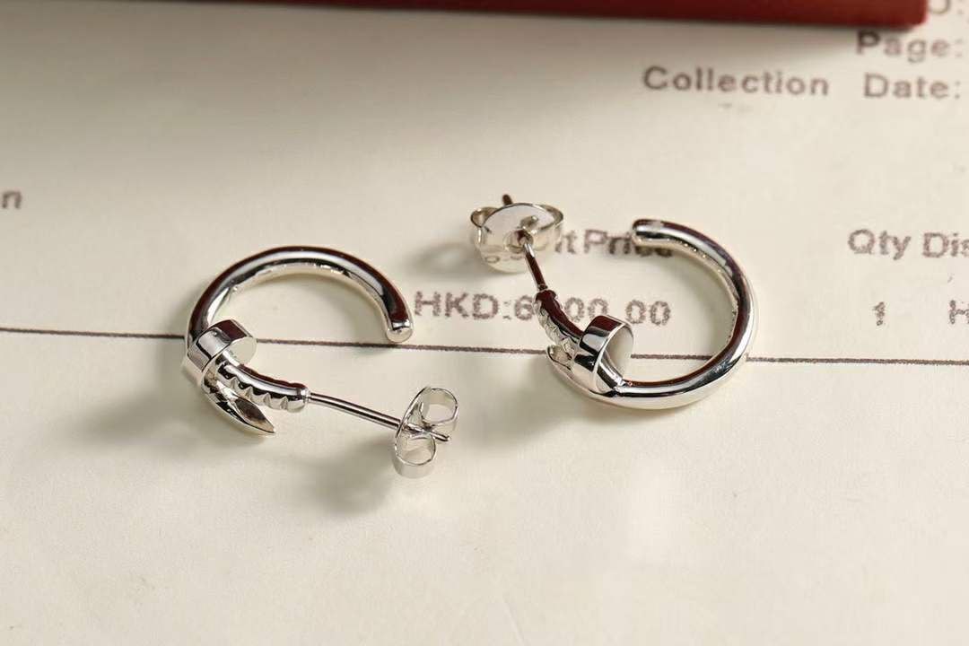 Boucles d'oreilles de Luxe Pour Femme / F300274