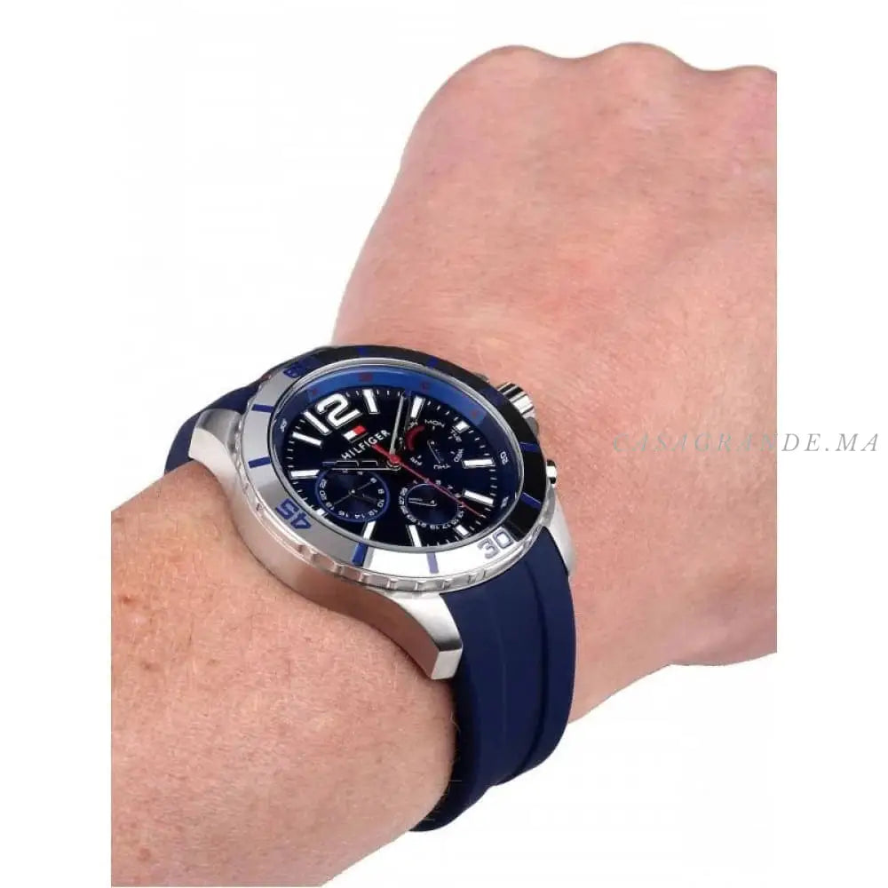 Tommy Hilfiger Watch for Men 1791142
