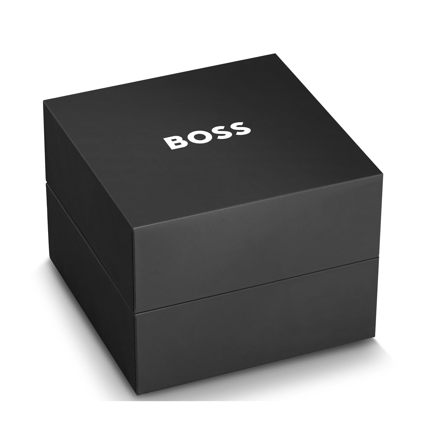 Montre HUGO BOSS Pour Homme, 1513959