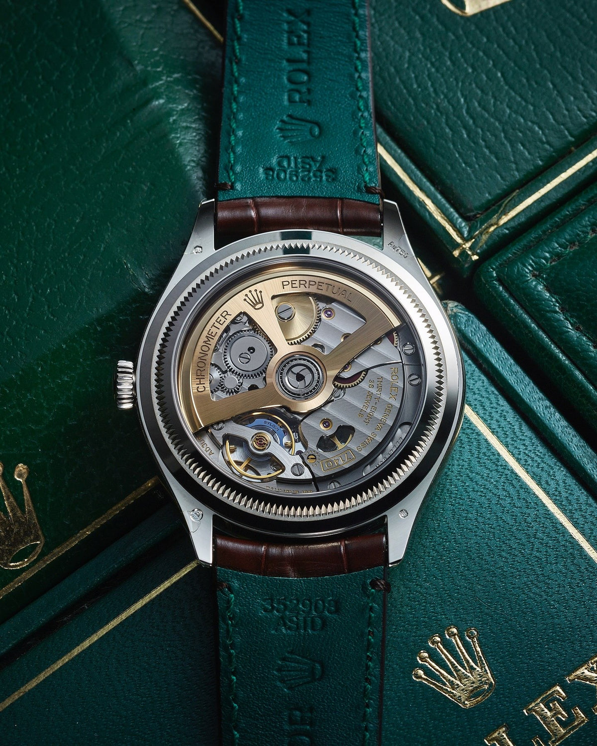 ROLEX PERPETUEL 1908 39 MM CUIRE MARRON  FOND BLANC