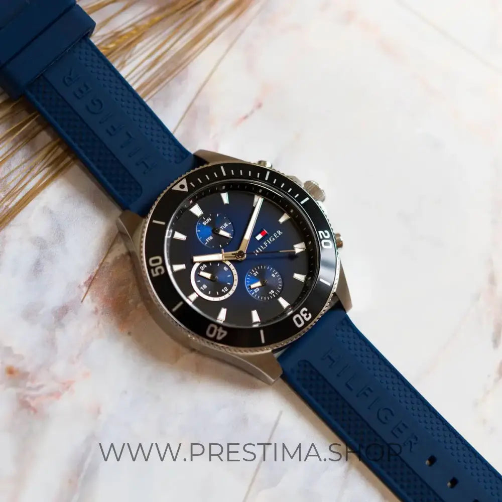 Montre Tommy Hilfiger pour homme 1791920