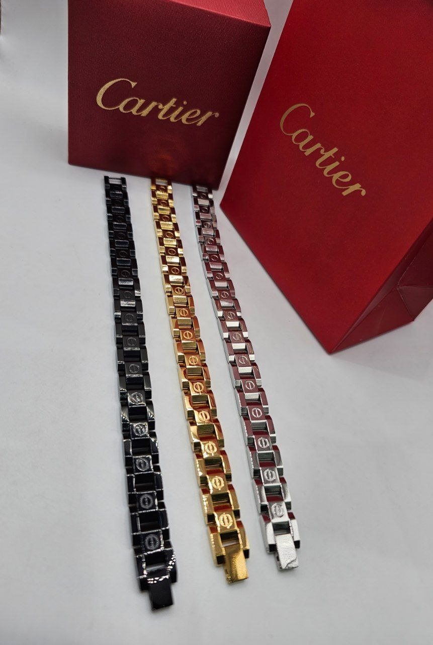 Bracelet de Luxe Pour Homme / F300269