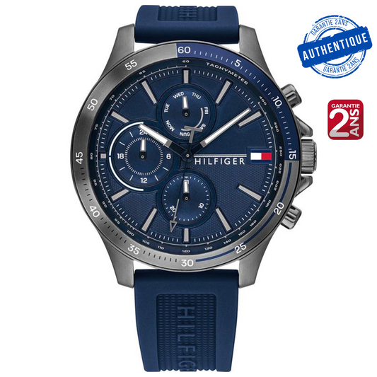 Montre Tommy Hilfiger TH1791721